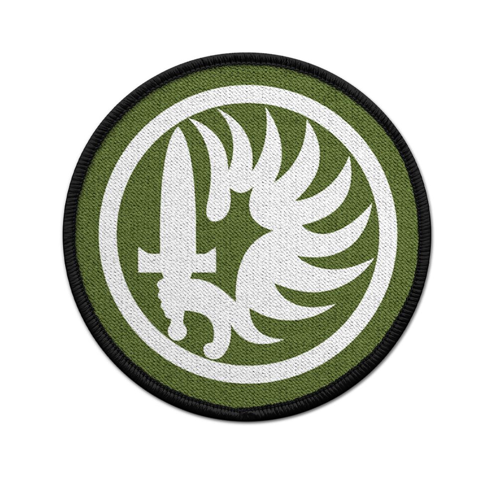 Patch Parachutistes Légion étrangère Foreign Legion Paratroopers # 33638