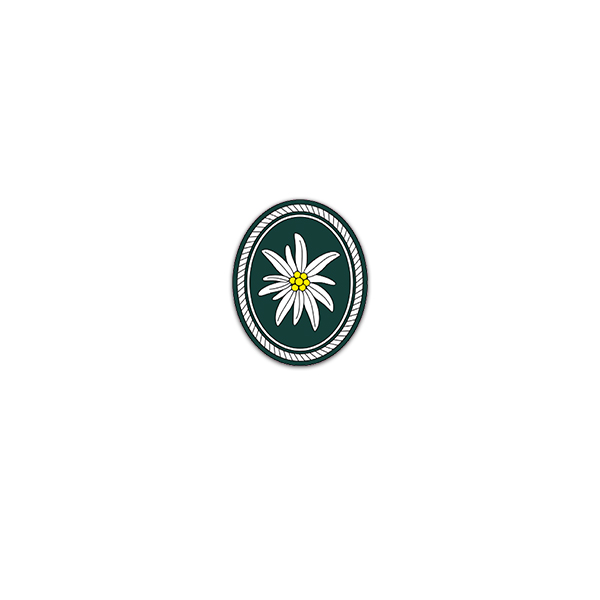 Sticker 1 Mountain Division Bundeswehr Army Army Military 6x7cm A3098
