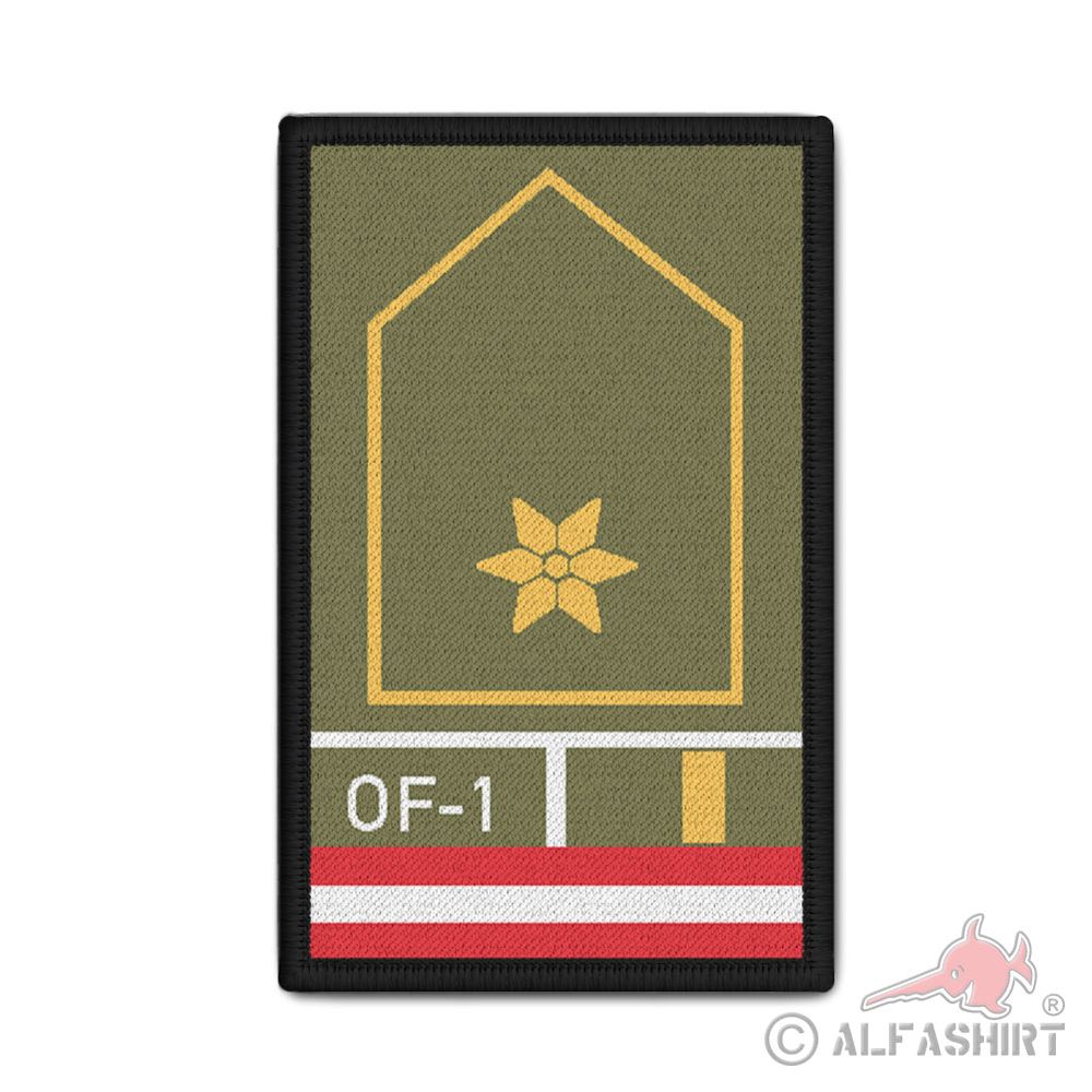 Rank Patch Bundesheer Leutnant Dienstgrad Österreich Militär 9,8 x 6cm#37108