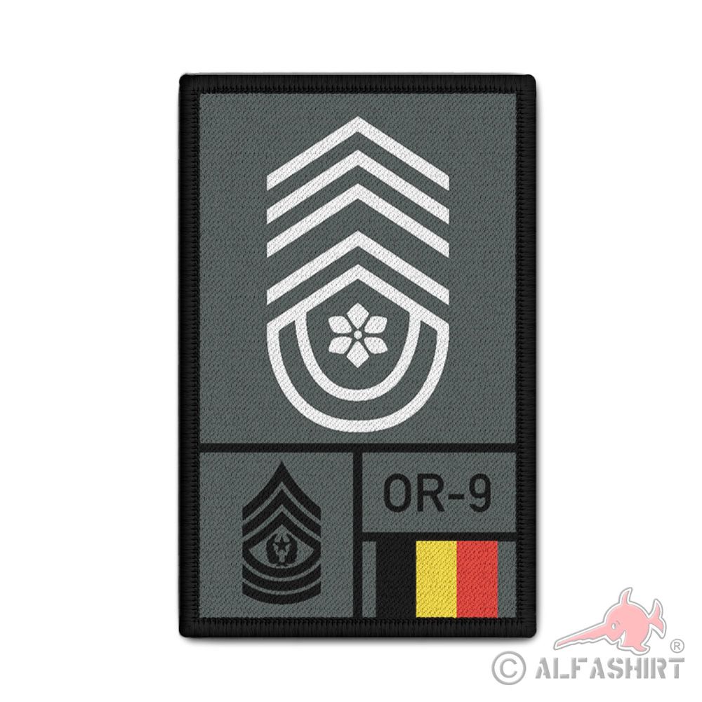 Rank Patch Adjudant-major Armée belge Belgisch leger Armee Belgien  #44233