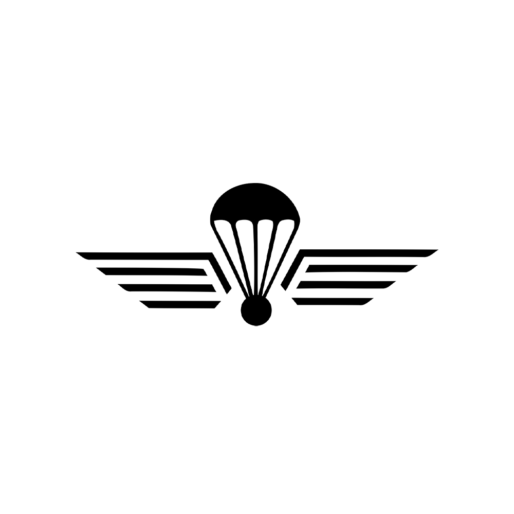 Para Wings Switzerland Swiss Army Parachute Wings 10x4cm #A7327