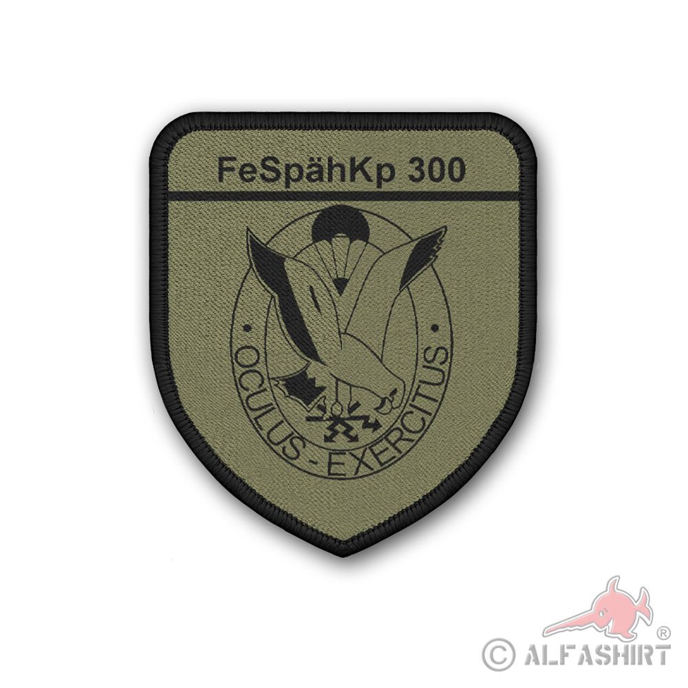 Patch Fernspähkompanie FeSpähKp 300 Seelbach Fritzlar Tarn Oliv #44891