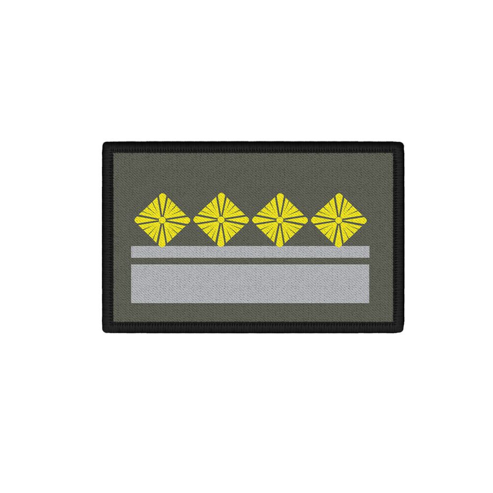 Patch 7,5x4,5cm NVA Dienstgrad Dienste Streitkräfte 