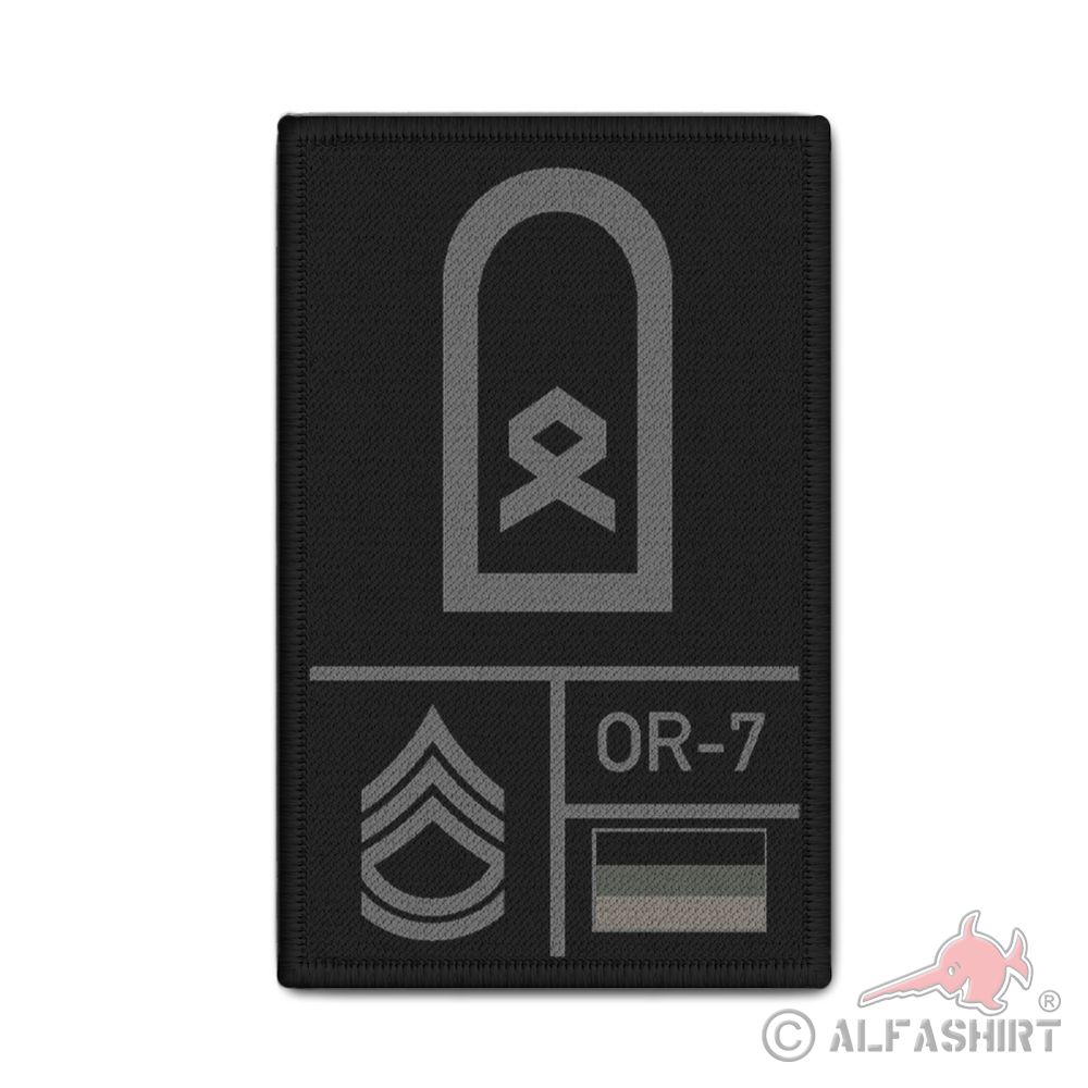Tarn Hauptfeldwebel Bundeswehr Dienstrang Soldat Abzeichen Rank Patch #38117