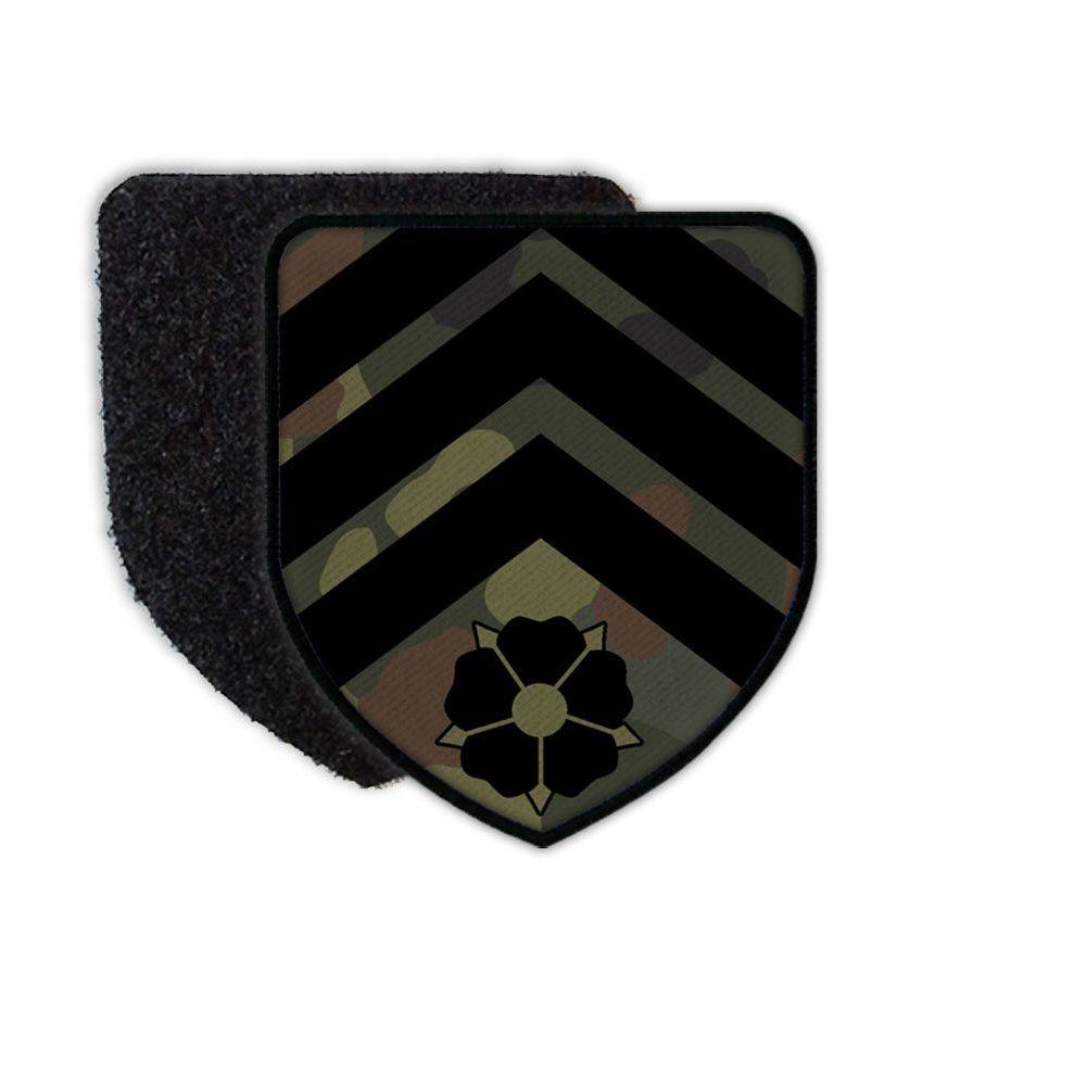 PzBtl 213 Panzerbataillon 213 Bundeswehr Tarn Patch #31348