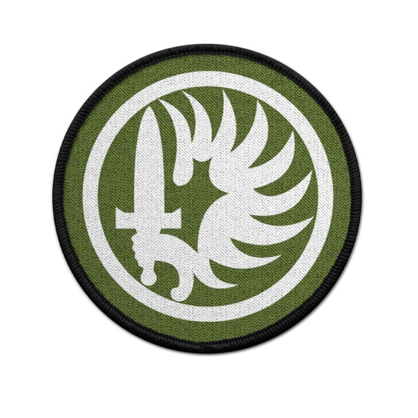 Patch Parachutistes Légion étrangère Fremdenlegion Fallschirmjäger #33638