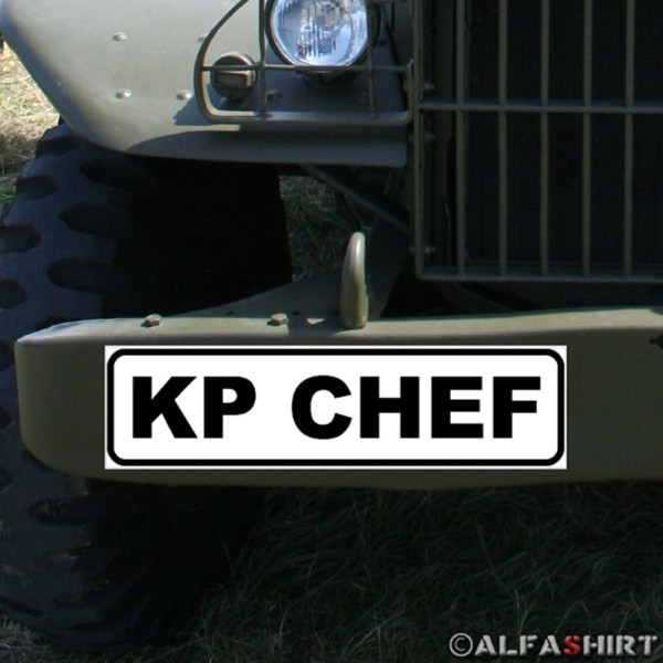 Magnetic shield Kp chief company officer battalion BW vehicle spit # A345