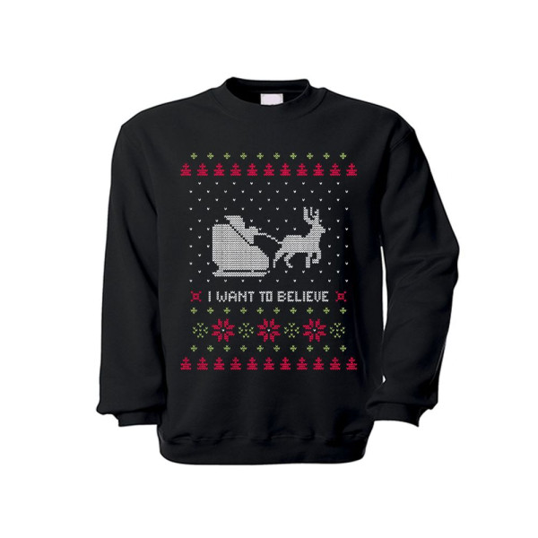 Pullover I Want to Believe Weihnachten Winter Pulli Weihnachtsmann #35830
