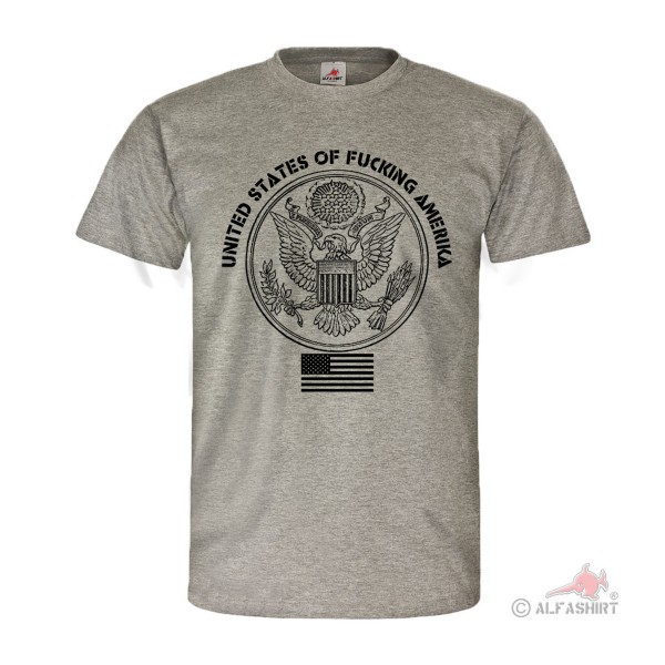 United states of Amerika USA Murica Fun Adler Fahne Army T Shirt #26883